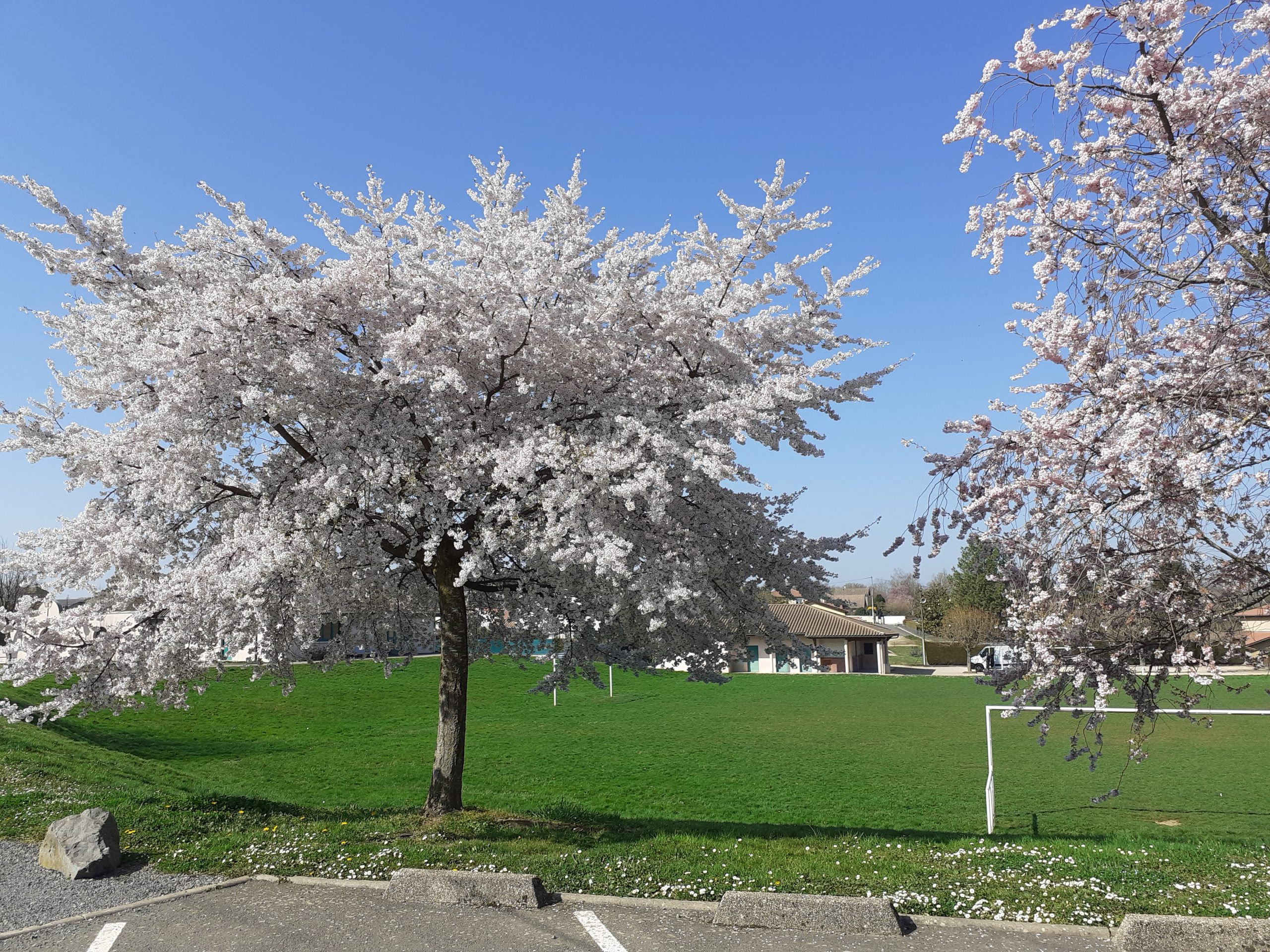 Mon quotidien - Mairie de Montceaux